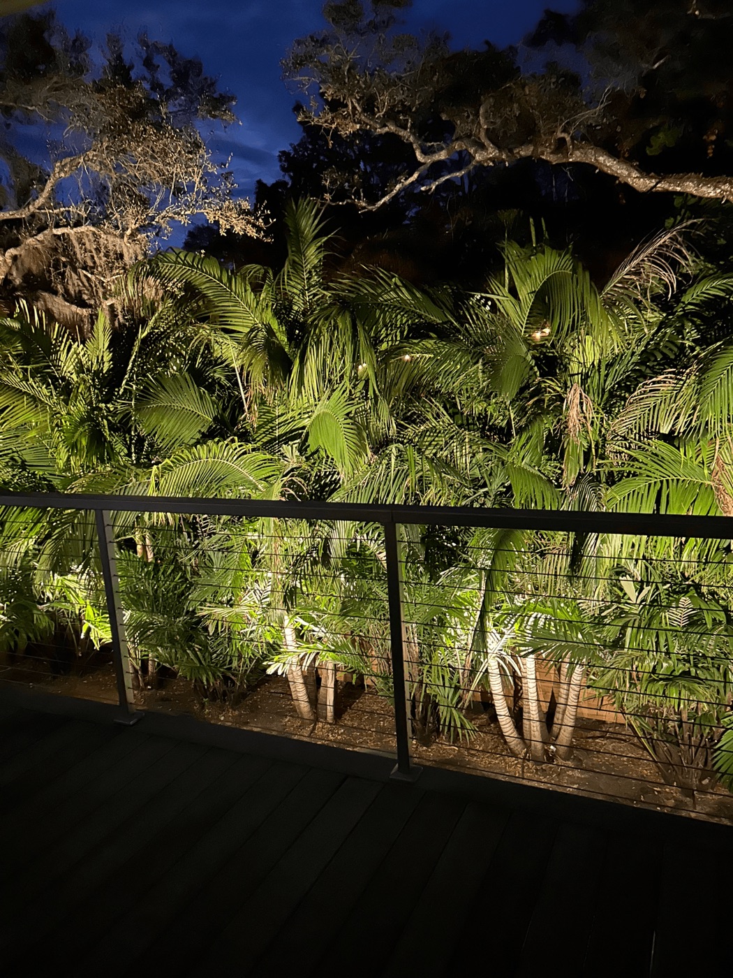 Deck overlooking uplit tropical foliage