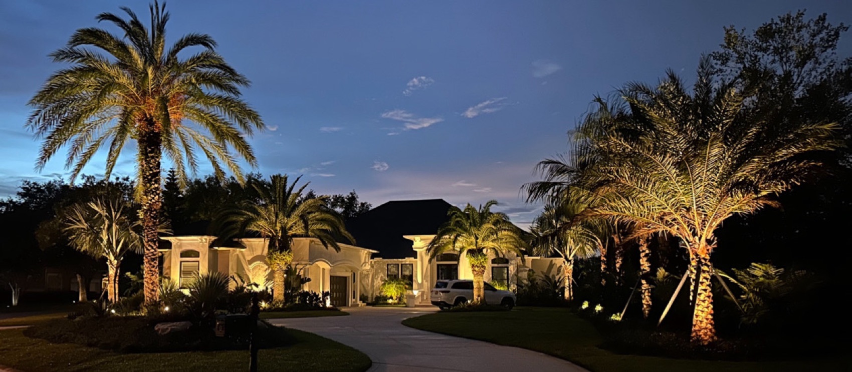 Dusk estate with uplit palms